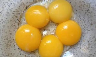 猫能吃卤蛋蛋黄吗